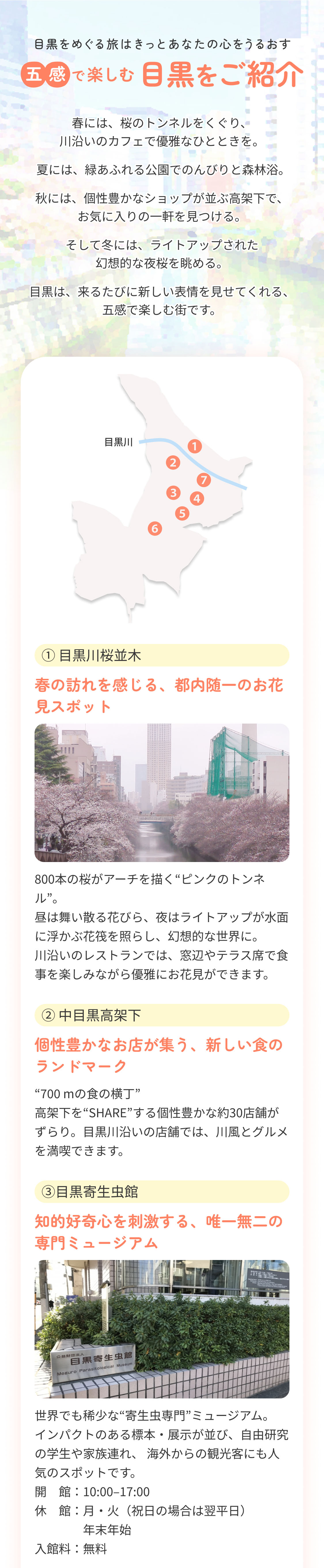 目黒をご紹介　① 目黒川桜並木 ② 中目黒高架下 ③目黒寄生虫館 
